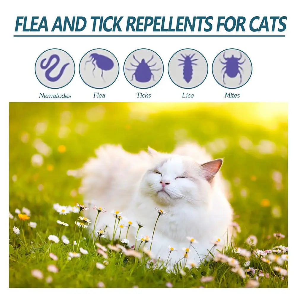 Flea and Tick Treatment Drops for Dogs and Cats – Fast Acting Protection