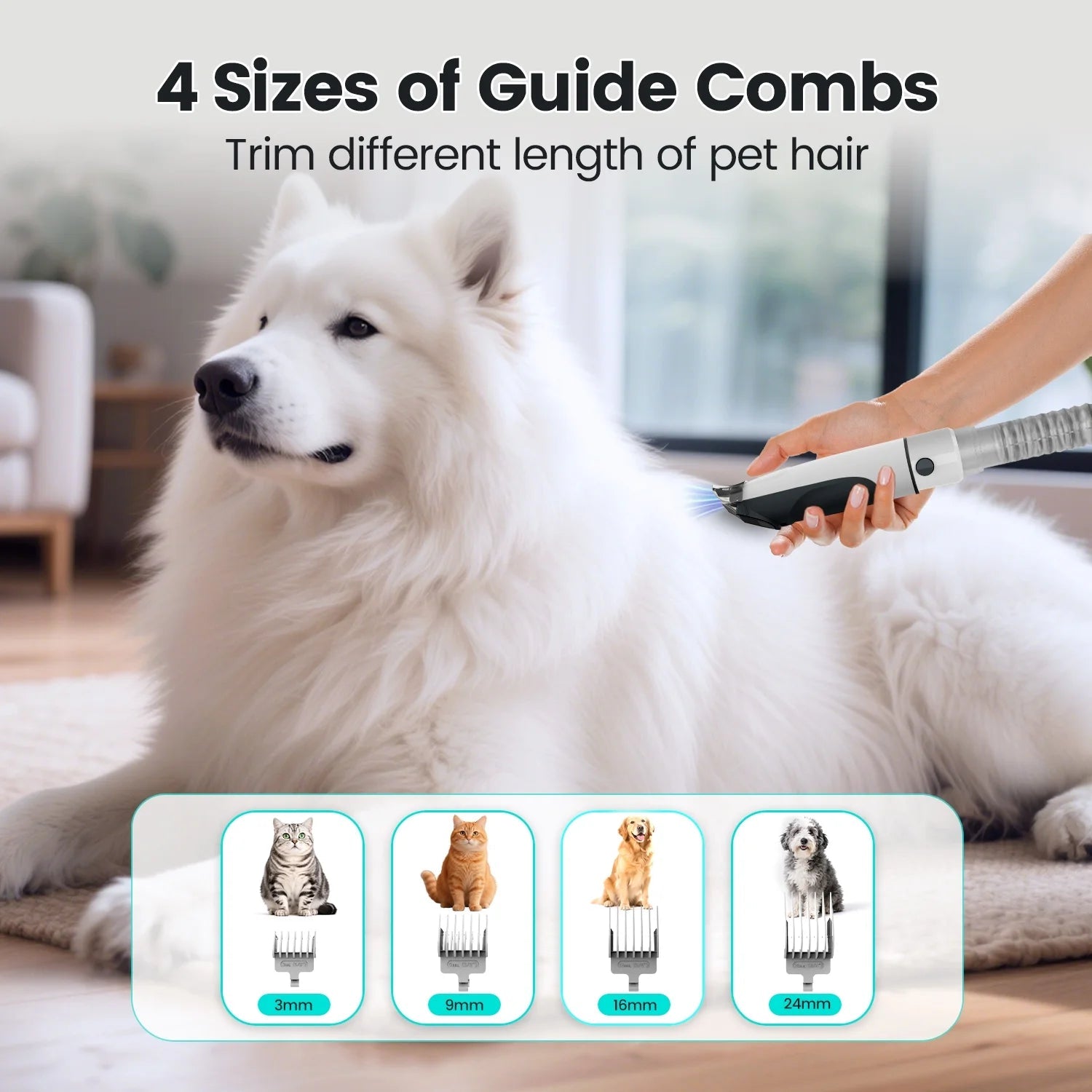 Professional Pet Grooming Vacuum – 7 Tools in 1