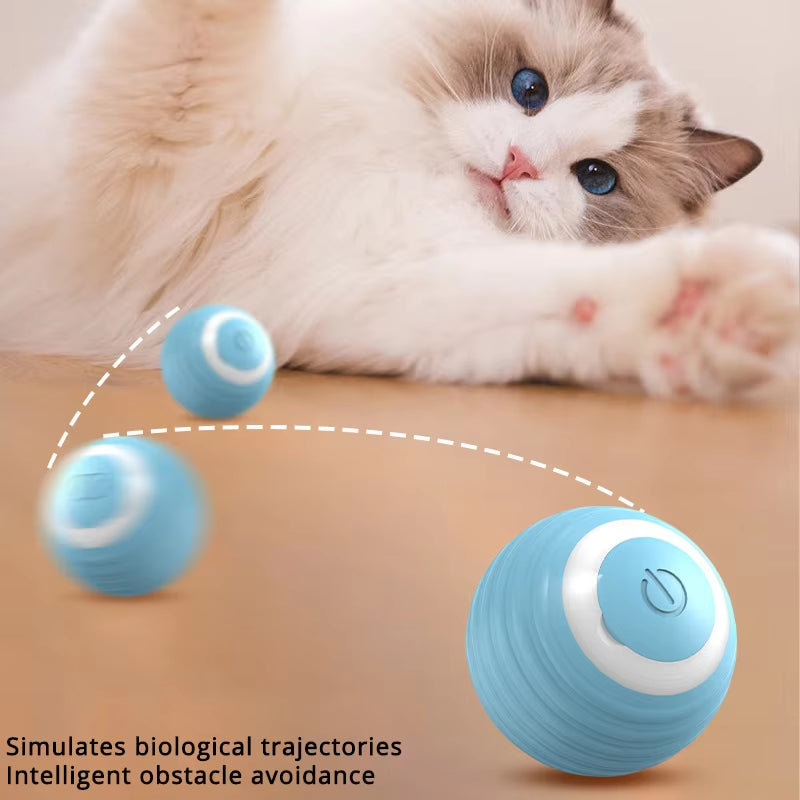 Automatic Rolling Cat Ball Toy – Motion Activated Interactive Pet Toy