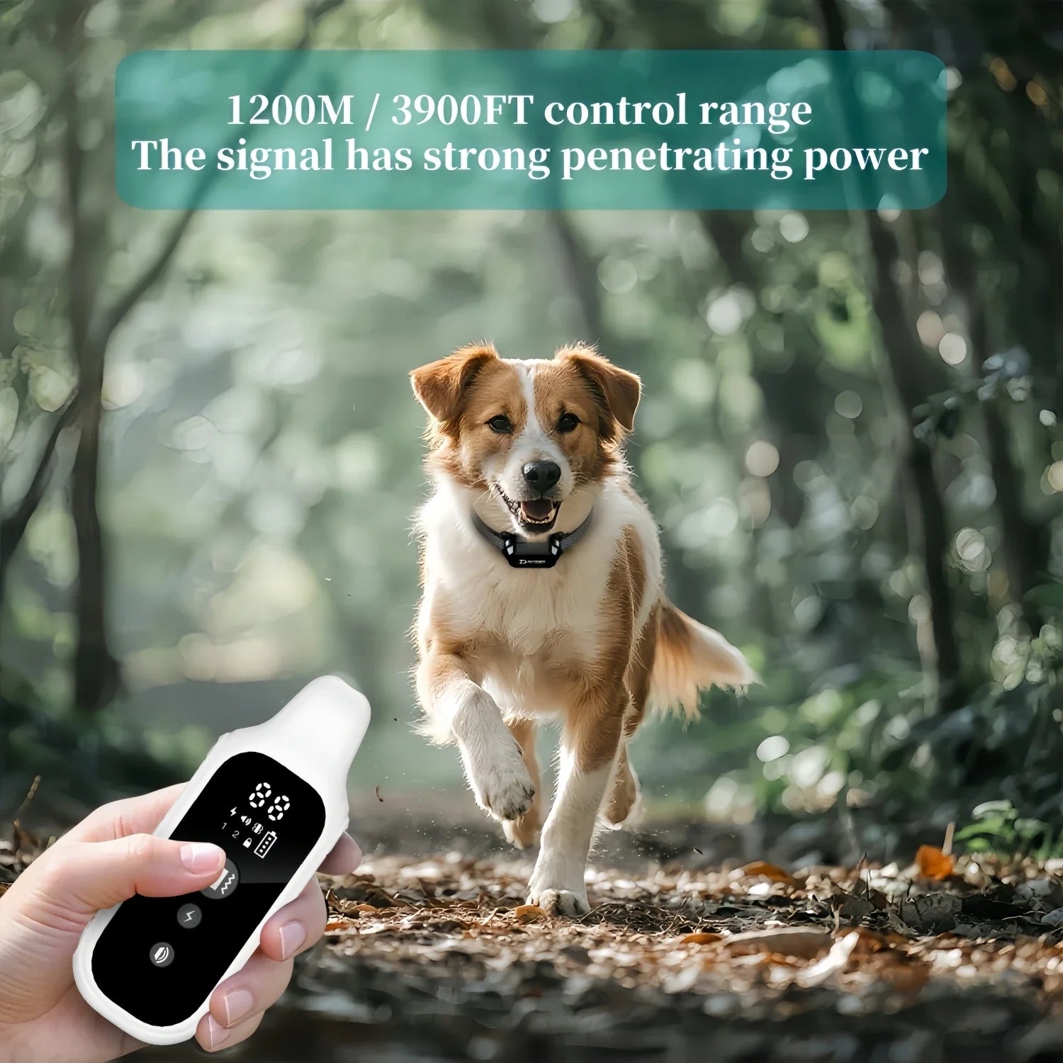 Waterproof Remote Dog Training Collar for Small, Medium & Large Dogs