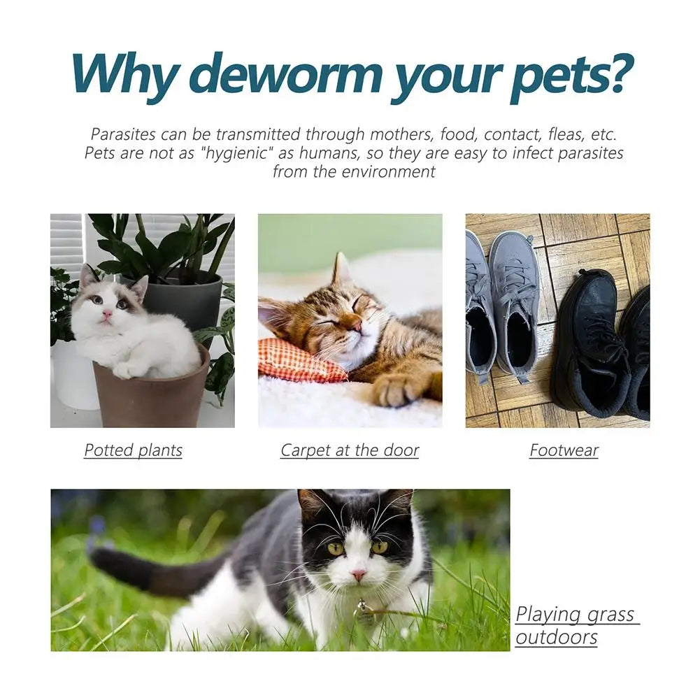 Flea and Tick Treatment Drops for Dogs and Cats – Fast Acting Protection